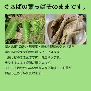 屋久島産ぐぁば茶 60g(グァバ茶100%) ...の詳細画像2