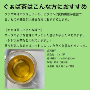 屋久島産ぐぁば茶 60g(グァバ茶100%) ...の詳細画像4