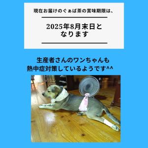 屋久島産ぐぁば茶 60g(グァバ茶100%) ...の詳細画像5