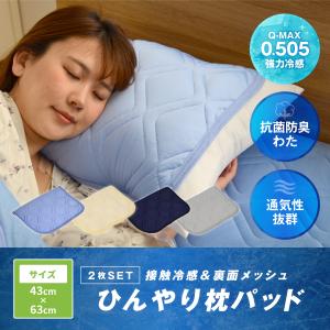 MITAS 熱中症対策 Q-MAX 0.505　接触冷感＆裏面メッシュ ひんやりまくらパッド　2枚セット 45×50cm 洗える 抗菌防臭わた使用  熱帯夜対策