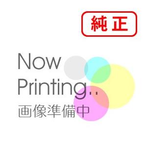 リコー（RICOH） 純正インク SGカートリッジ GC41Y イエロー 2個セット