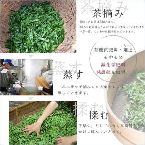 狭山茶 煎茶 100g×3セット 農林水産大臣...の詳細画像3