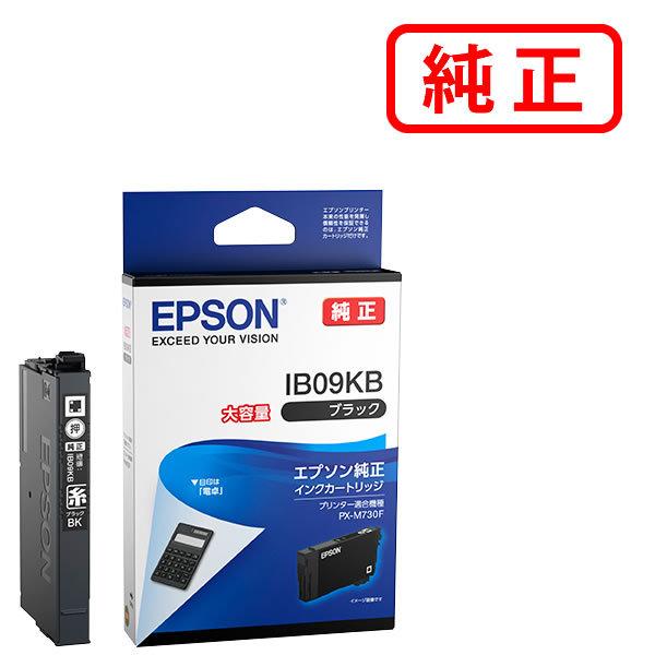 EPSON エプソン 純正品 IB09KB ブラック 純正インク