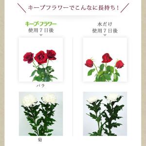 キープ・フラワー 小袋 10ml×1200袋の詳細画像2