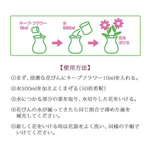 キープ・フラワー 小袋 10ml×1200袋の詳細画像3