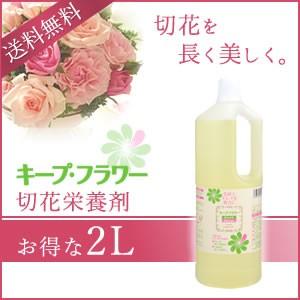 キープ・フラワー ボトルタイプ 2L｜mitastore