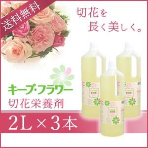 キープ・フラワー ボトルタイプ 2L×3本セット｜mitastore