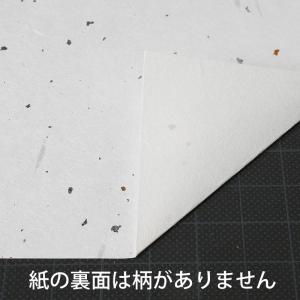 大直 柄入和紙 プリンター用紙 大礼紙 金銀砂...の詳細画像2