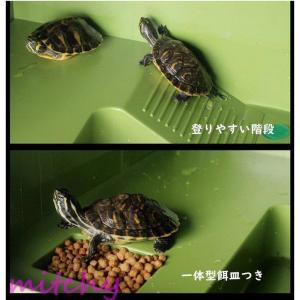 亀 水槽 プラスチック 温室 飼育ケース 爬虫類 両生類用品 の商品一覧 爬虫類 両生類用品 ペット用品 生き物 通販 Yahoo ショッピング