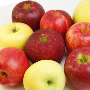 旬の りんご お試しセット 4個入り 果物 フルーツ