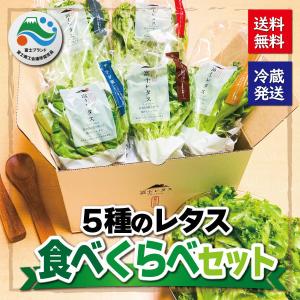 富士ベジ工房　レタス５種　食べくらべセット｜miti-fujikawarakuza