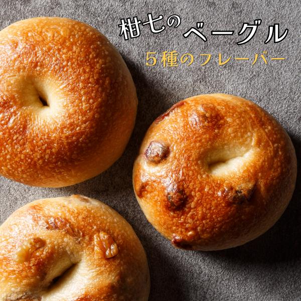 2025 熊本 阿蘇 ベーグル 単品 （プレーン・クランベリー・ダブルチーズ・クルミ・ごま小豆） 柑...