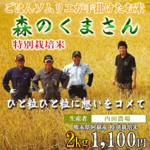 熊本 阿蘇 森のくまさん 2kg 内田農場 令和3年産 お米ソムリエが手掛けた米