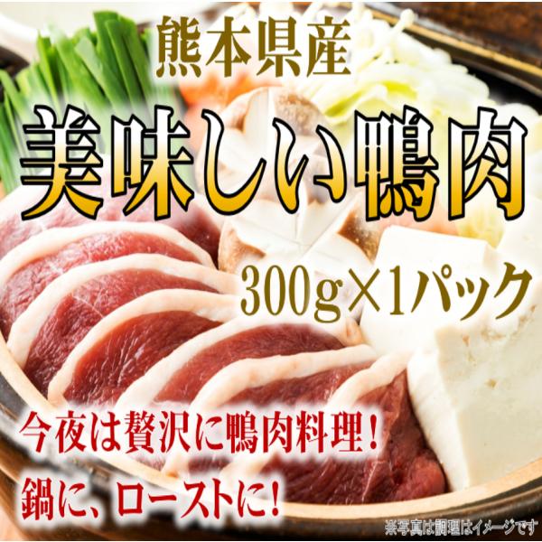 【数量限定】熊本 阿蘇 あい 鴨肉ブロック 鴨鍋 お取り寄せ 母の日【冷凍品】 300g  ヘルシー...