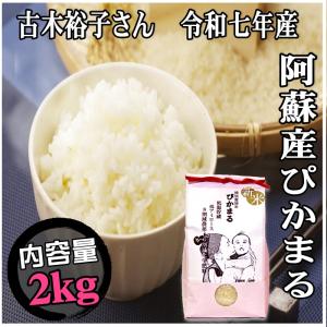 コシヒカリ 【精米】無洗米 栃木県産コシヒカリ 2kg : ヤマイチSHOP