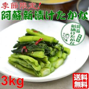 &lt;完売御礼！&gt;【数量限定！】＜冷凍商品同梱不可＞ 新漬たかな 新漬け 漬物 3kg 季節限定 高級 青高菜 人気 絶品 手作り 阿蘇おふくろ工房