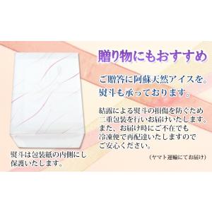 パネトーネ&ミルクアイス ギフト 爆買...の詳細画像5