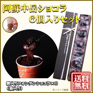 【常温商品以外同梱不可】 ホワイトデー 2024 チョコレート　ケーキ 中岳ショコラ（6個入り）／中村製菓 スイーツ ギフト 誕生日　お取り寄せ 送料無料 内祝い｜mitinoekiaso