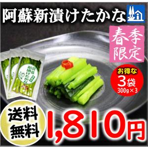 熊本 阿蘇 高菜 漬物 新漬たかな 新漬け 300g×3袋 季節限定
