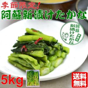 熊本 阿蘇 高菜 漬物 新漬たかな 新漬け 5kg 季節限定 高級 青高菜 人気 絶品 手作り 阿蘇おふくろ工房