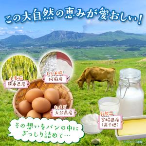 熊本応援 熊本 阿蘇 柑七 おまかせ パンセッ...の詳細画像2