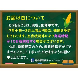 【地震により出荷日未定】とうもろこし トウモロ...の詳細画像5