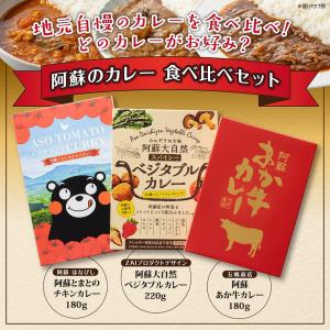 大人気 ご当地 カレー レトルト レトルトカレー 道の駅阿蘇 阿蘇のカレー食べ比べセット(各種1箱×3) 【冷凍品同梱不可】熊本 阿蘇 2024｜mitinoekiaso