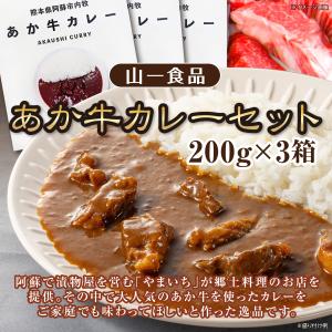 山一食品 2024 大人気 ご当地カレー レトルト レトルトカレー 熊本 阿蘇 道の駅阿蘇 オリジナル　あか牛 カレーセット(200ｇ×3箱) 【冷凍品同梱不可】｜mitinoekiaso