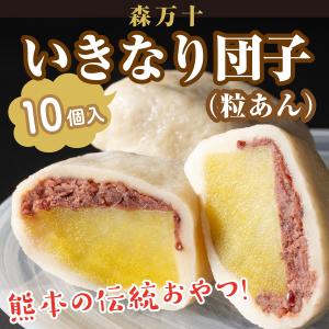 【GW中休業・4月中発送は4/28午前中ご注文分まで】いきなり団子 森万十 熊本 阿蘇 2024 スイーツ  和菓子 だんご 10個入 内祝 お取り寄せ 【冷凍品】送料無料｜mitinoekiaso