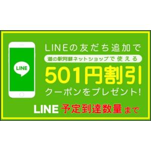 熊本応援 いきなり団子 10個入 森万十 熊本...の詳細画像4