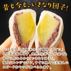 熊本応援 熊本阿蘇 いきなり団子 10個入 &...の詳細画像2