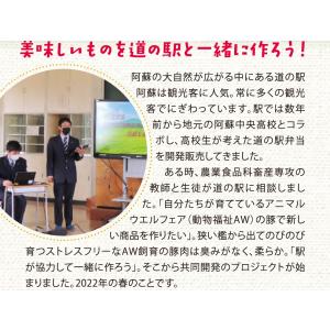 【再入荷!道の駅阿蘇限定】うまかぁー豚ラー 阿...の詳細画像5