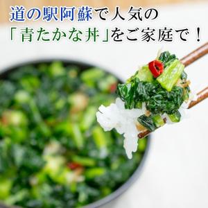 【完売御礼】2026 新漬たかな 320g×5...の詳細画像1