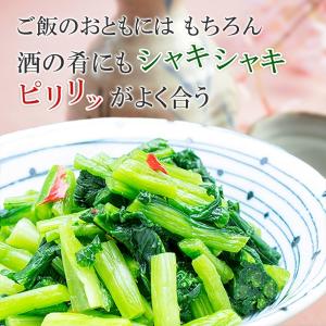 【完売御礼】2026 新漬たかな 320g×5...の詳細画像2