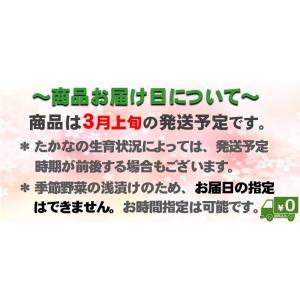 【完売御礼】2026 新漬たかな 320g×5...の詳細画像5