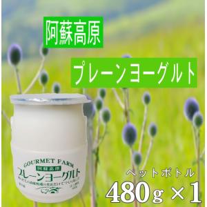 【毎週水曜日出荷】熊本 阿蘇 2024 新商品 阿蘇ファーム 阿蘇高原 阿蘇プレーンヨーグルト　(480ｇ)/ 道の駅阿蘇｜mitinoekiaso