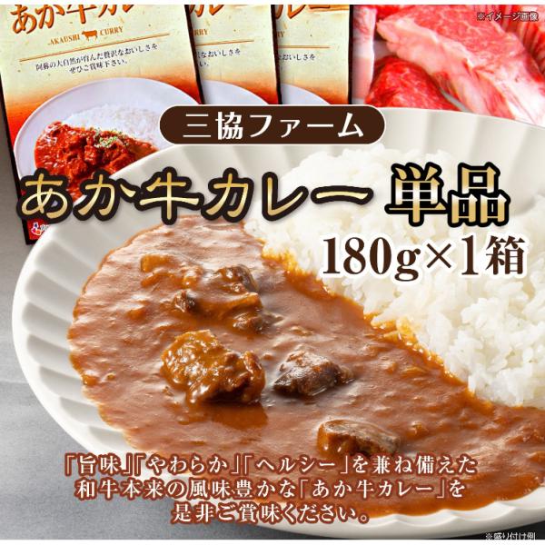 三協ファーム 2026 大人気 ご当地カレー レトルト レトルトカレー 熊本 阿蘇 道の駅阿蘇 オリ...