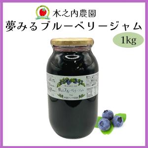 夢みるブルーベリージャム 1kg 1000g 木之内農園 ブルーベリージャム プレザーブ 熊本 阿蘇 低糖度 おみやげ 朝食 瓶入り 着色料不使用 道の駅阿蘇 【常温品】