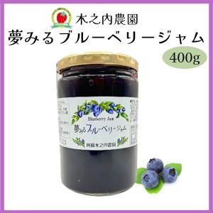 夢みるブルーベリージャム 400g 木之内農園 ブルーベリージャム プレザーブ 熊本 阿蘇 低糖度 瓶入り ギフト 贈り物 着色料不使用 道の駅阿蘇 【常温品】