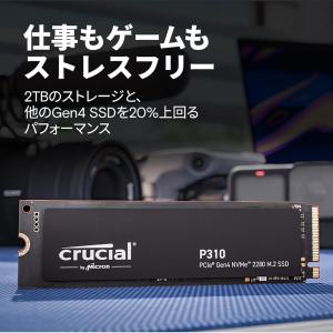 Crucial(クルーシャル) P310 1T...の詳細画像2