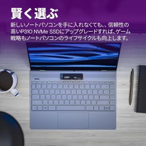 Crucial(クルーシャル) P310 1T...の詳細画像3