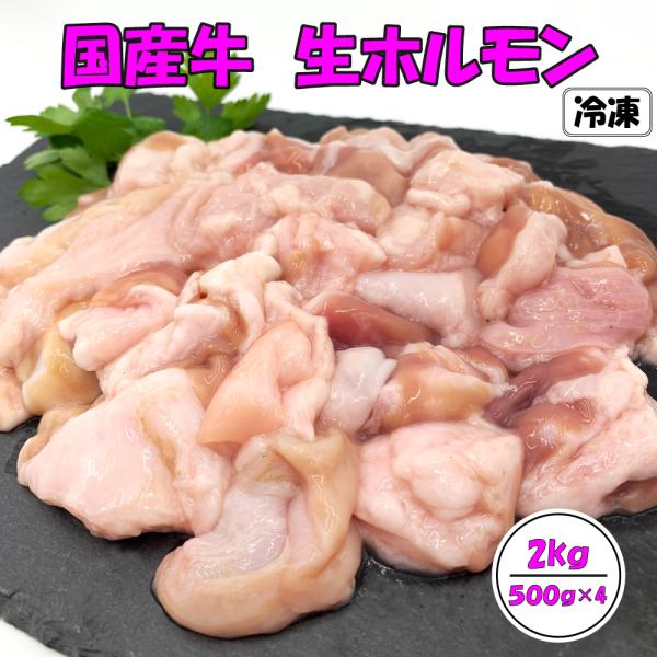 国産ホルモン 国産牛 生ホルモン 2kg 牛ホルモン 1kg×2 焼肉 もつ鍋 モツ鍋 牛モツ ミッ...