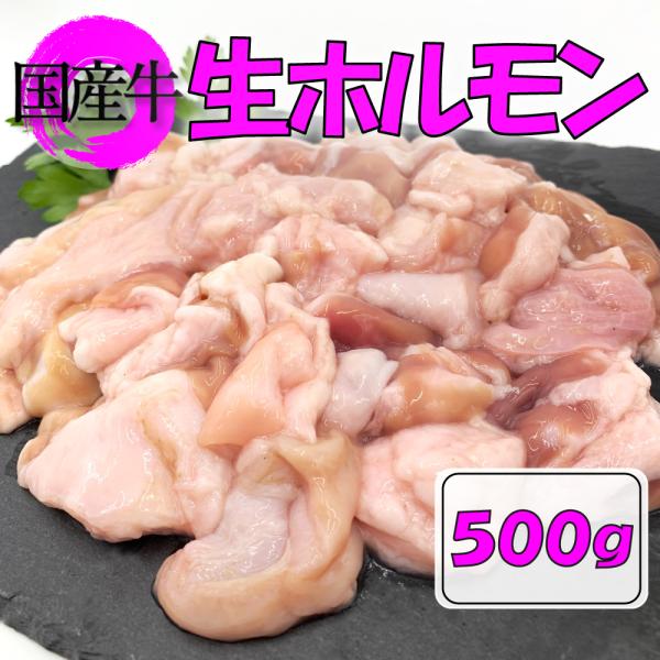 国産ホルモン 国産牛 生ホルモン 500ｇ 牛ホルモン 焼肉 モツ鍋 もつ鍋 牛モツ 白モツ ミック...
