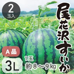 すいか 大玉 尾花沢すいか スイカ 西瓜 A3L 2玉 令和5年産 JA 果物 フルーツ 送料無料 先行予約 尾花沢すいか3L2玉