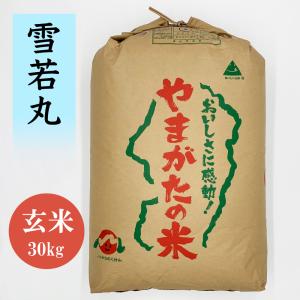 雪若丸 一等米 30kg 山形県産 玄米 令和5年産 送料無料 雪若丸玄米30kg