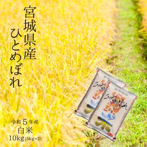 令和5年宮城県産 ひとめぼれ 白米10kg（5kg×2）【送料無料】