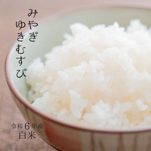 令和6年 宮城県産 ゆきむすび 白米5kg【送料無料】