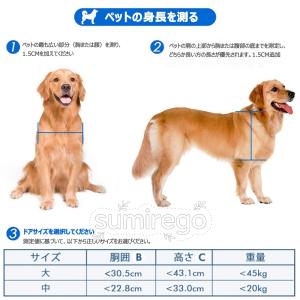 ペットドア 大型犬 出入り口 2WAYロック ...の詳細画像3
