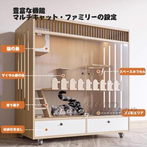 【7 月期間限定!ポイント 8 倍~】キャット...の詳細画像3