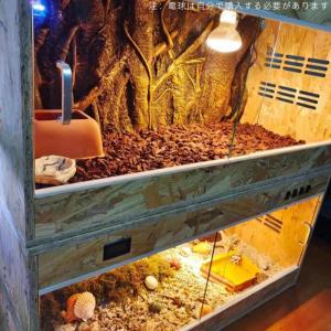 【新店オープン記念!ポイント 5 倍】飼育ケー...の詳細画像4